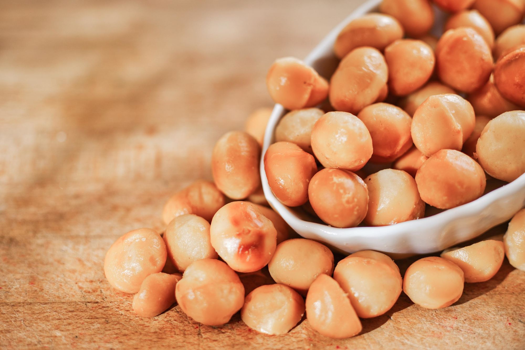 Macadamia gebrand natuur